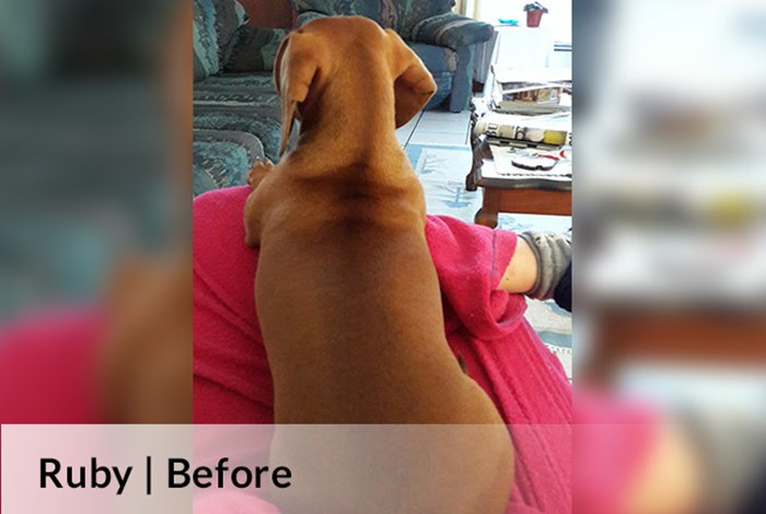 Ruby | Before image