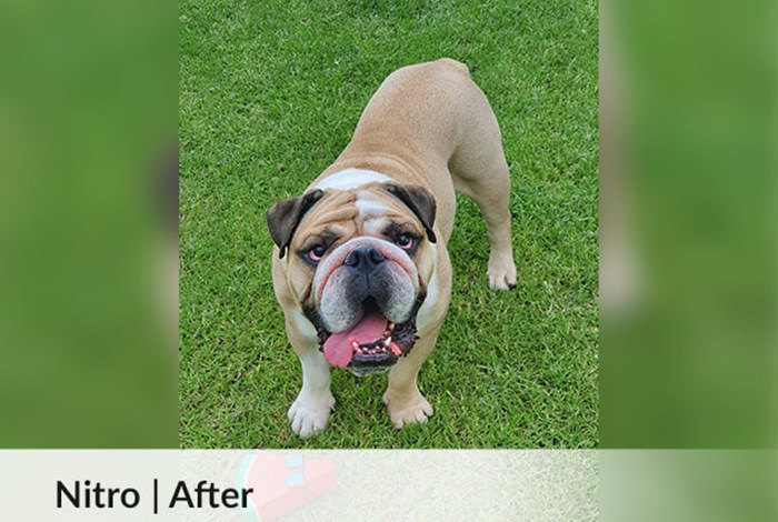 Nitro | After image