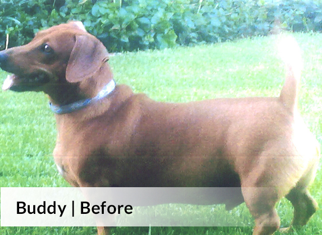 Buddy Before image