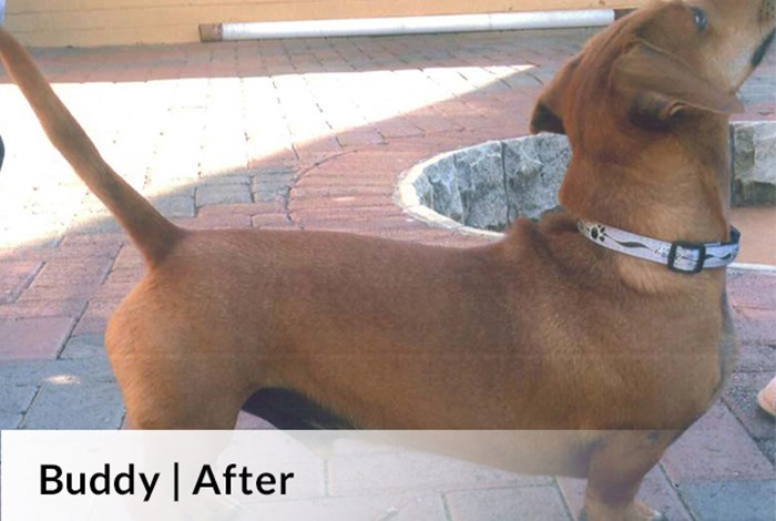 Buddy After image