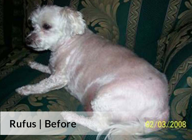 Rufus Before image