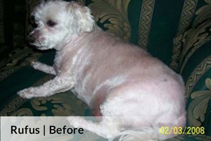 Rufus Before image