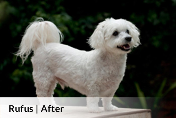 Rufus After image