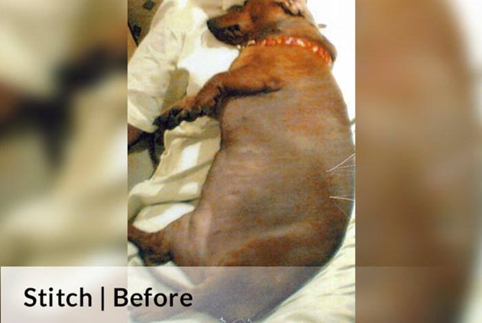Stitch Before image
