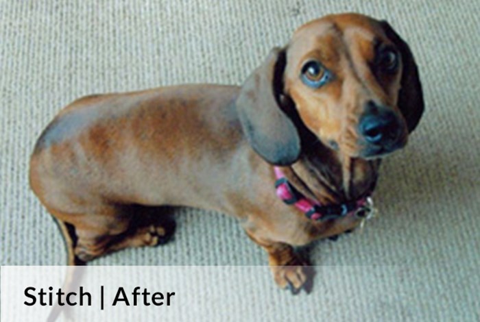 Stitch After image