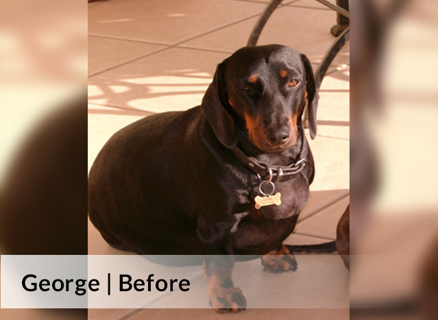 George Before image