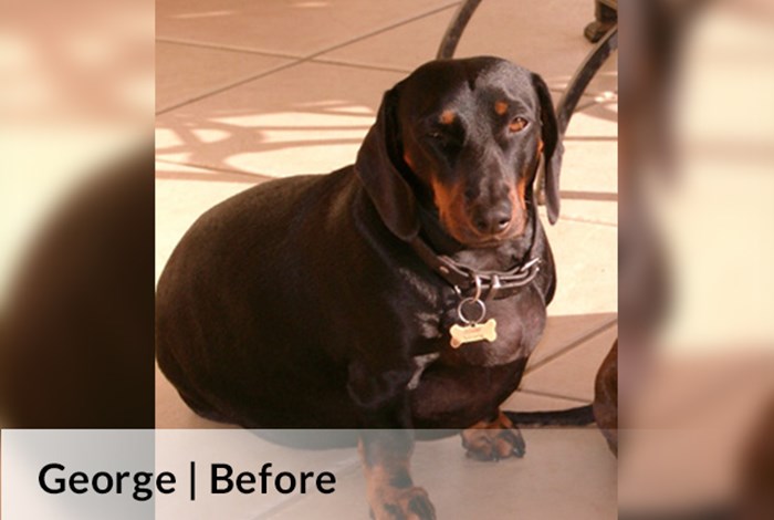 George Before image