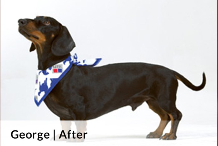 George After image