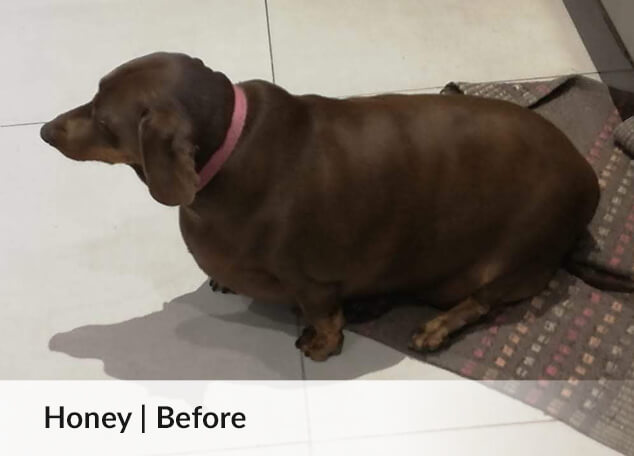 Honey | Before image
