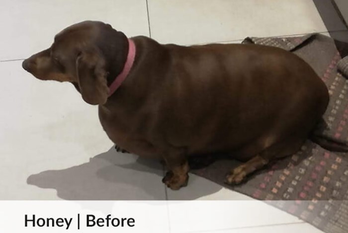 Honey | Before image
