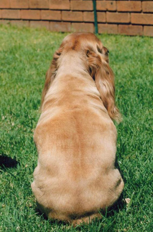 Vinkel | Before image