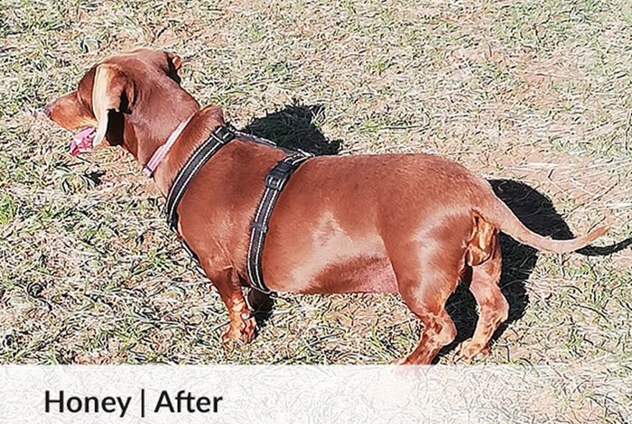 Honey | After image