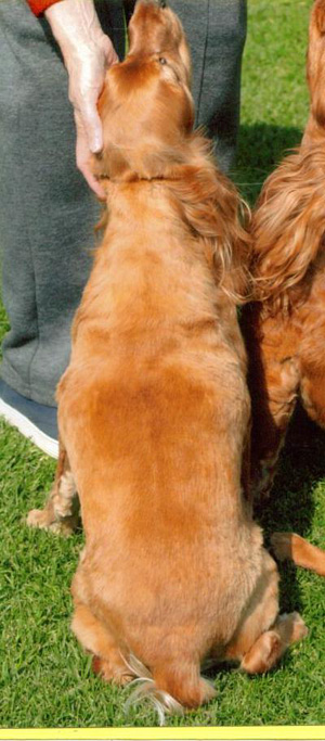 Vinkel | After image