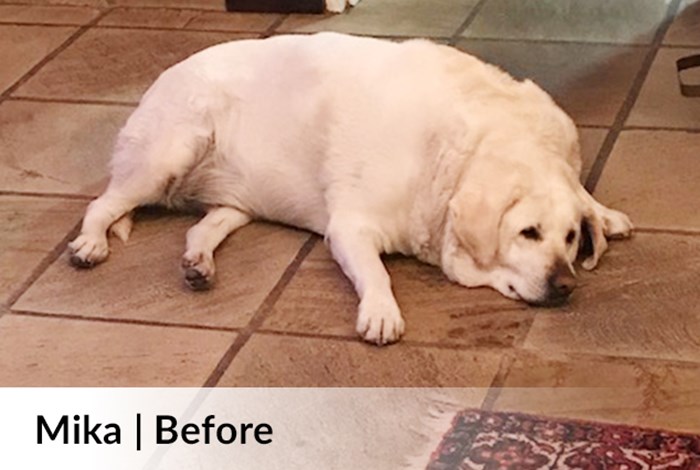 Mika Before image