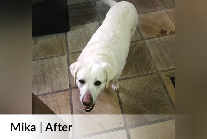 Mika After image