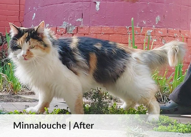 Minnalouche - progress 2