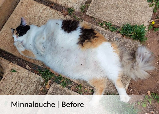 Minnalouche - progress 1